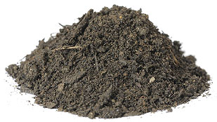 Mixture of topsoil/vegetable compost