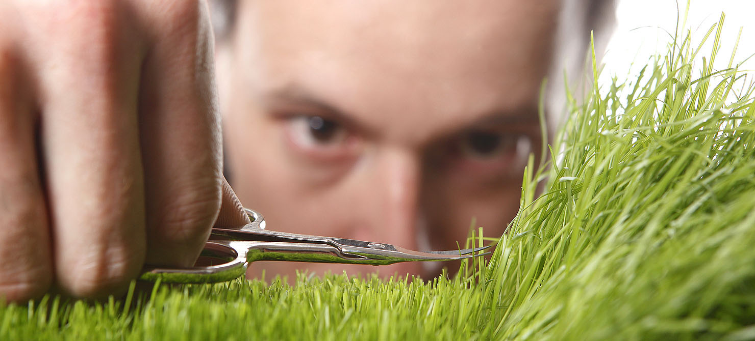 BUDDING HARDT’ISTES