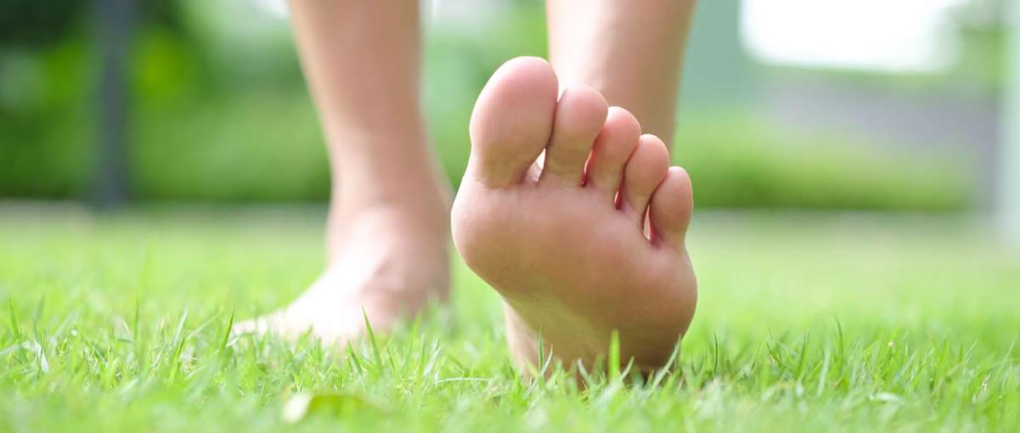 AT THE SERVICE OF INDIVIDUALS